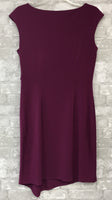 Purple Dress (10)