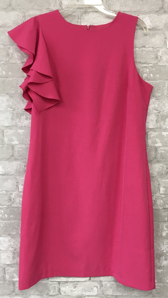Hot Pink Dress (12)