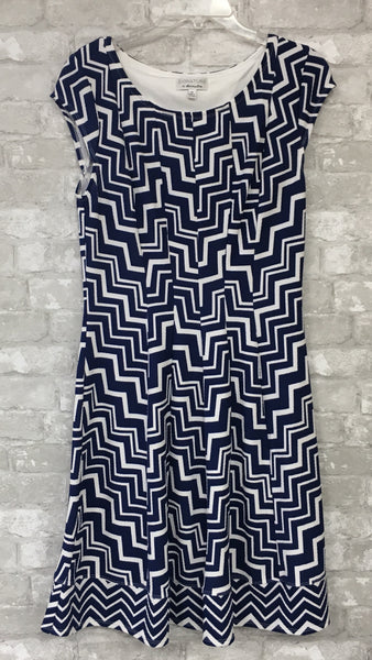 Blue/White Print Dress (10)